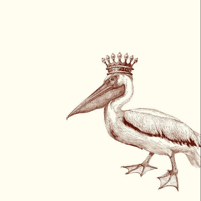 King Pelican A6 Notes