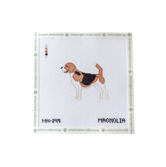 Beagle