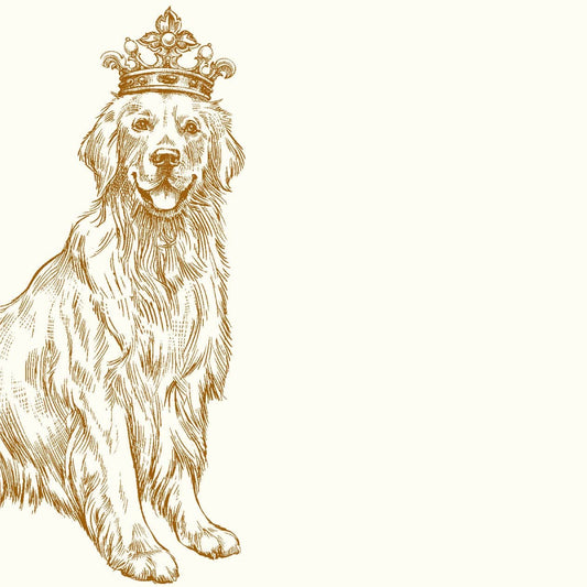 Royal Golden Retriever A6 Notes