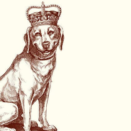 Royal Labrador Retriever Long Pad
